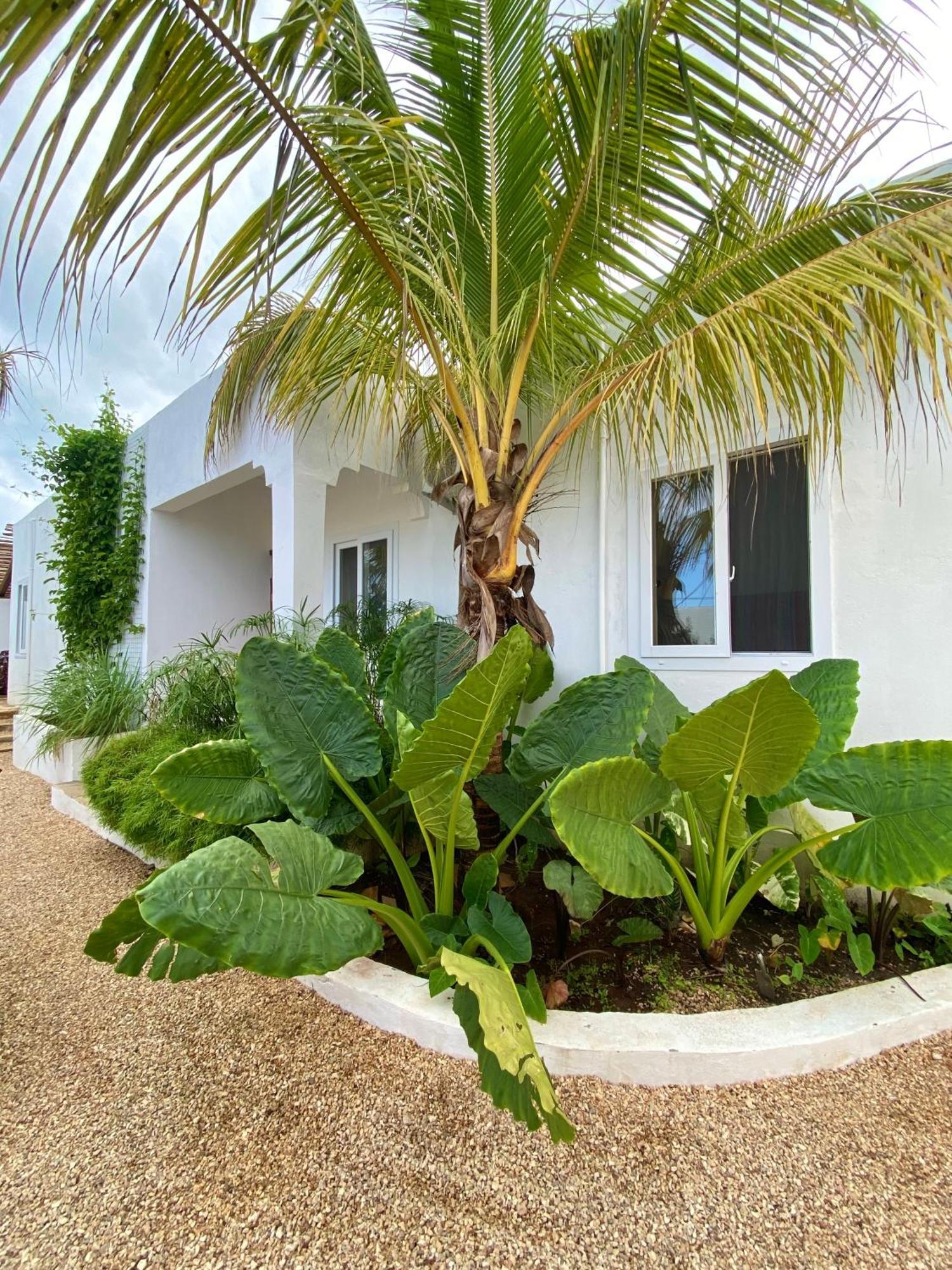 Cactus Lodge Zanzibar Nungwi Exterior photo