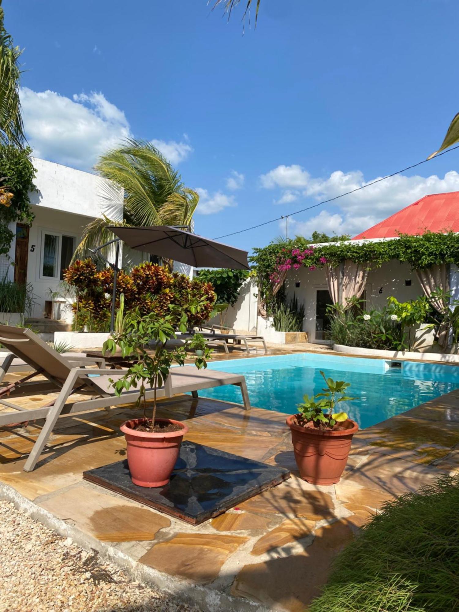 Cactus Lodge Zanzibar Nungwi Exterior photo